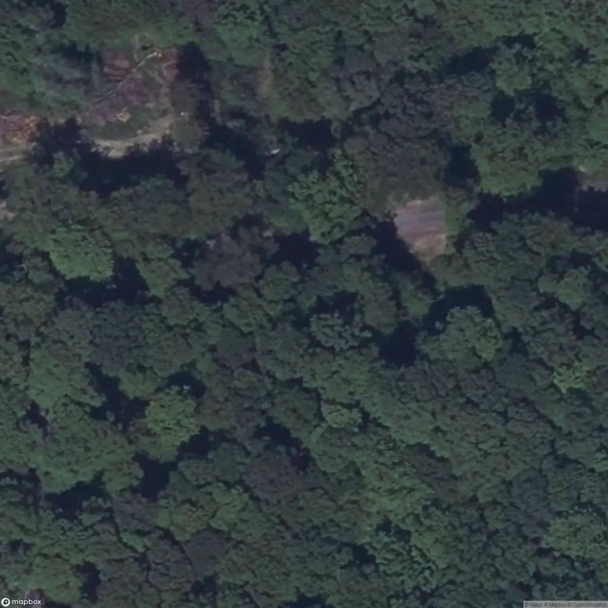 College Of The Forest