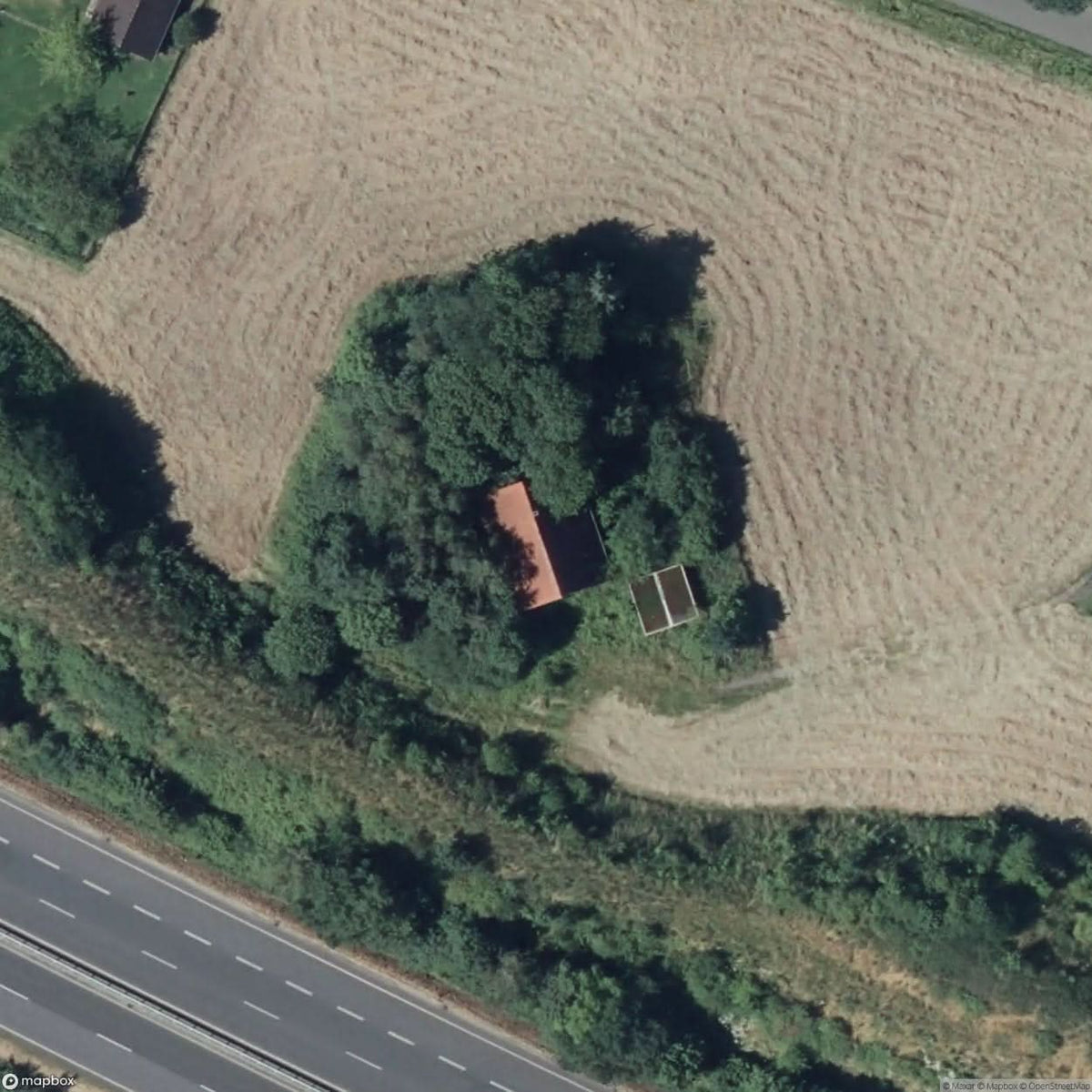 Crocodile House
