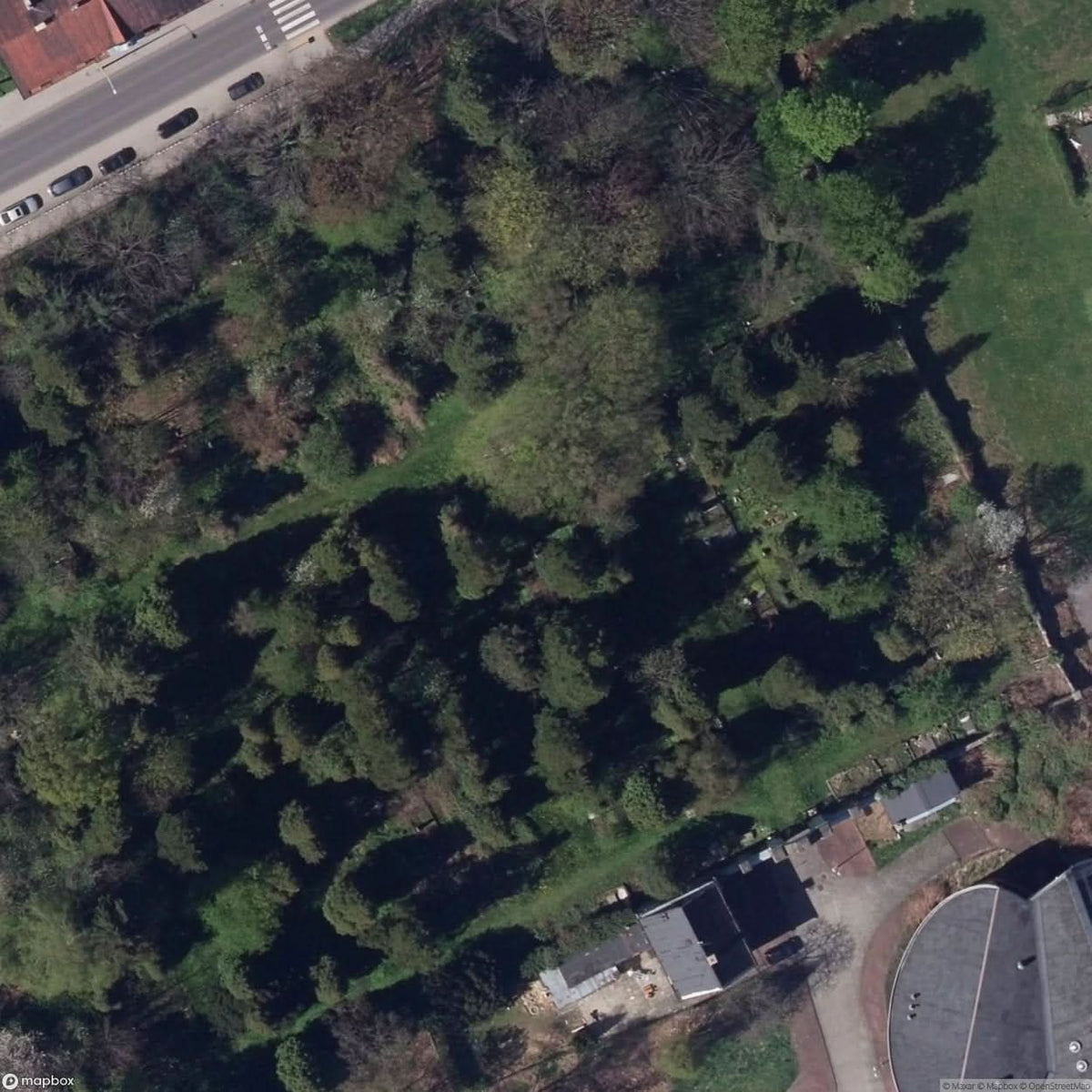 Historic Cemetery Bielsko Bia A [POL] #35847