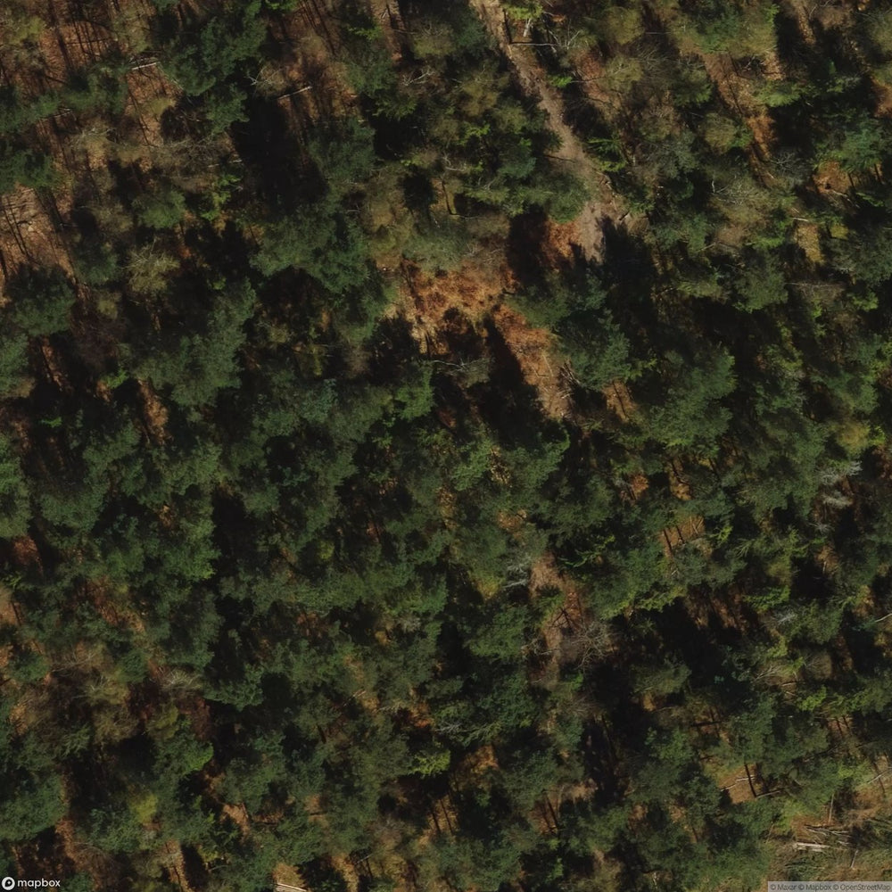 Historic Cemetery Wejherowo [POL] #1994