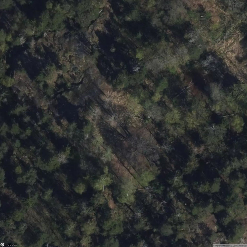 Tree Houses [FIN] #33654