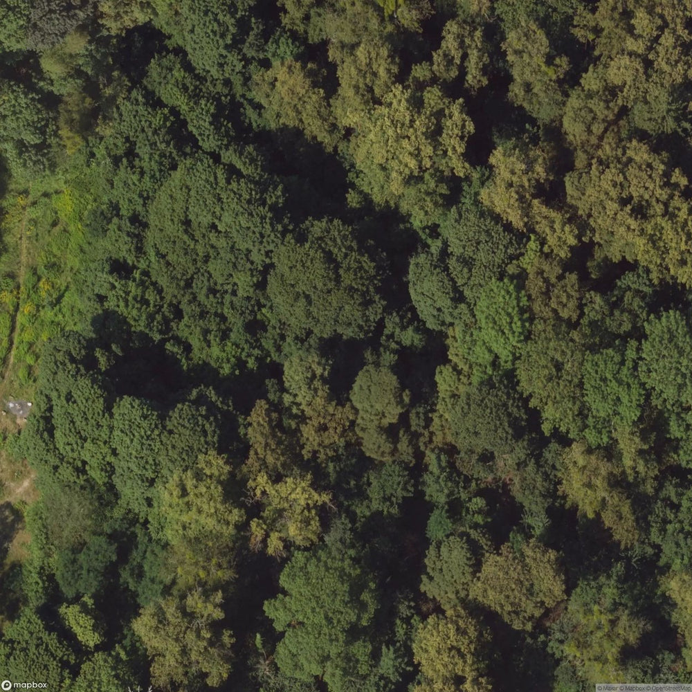 Historic Cemetery Abandoned Cemetery [POL] #2046