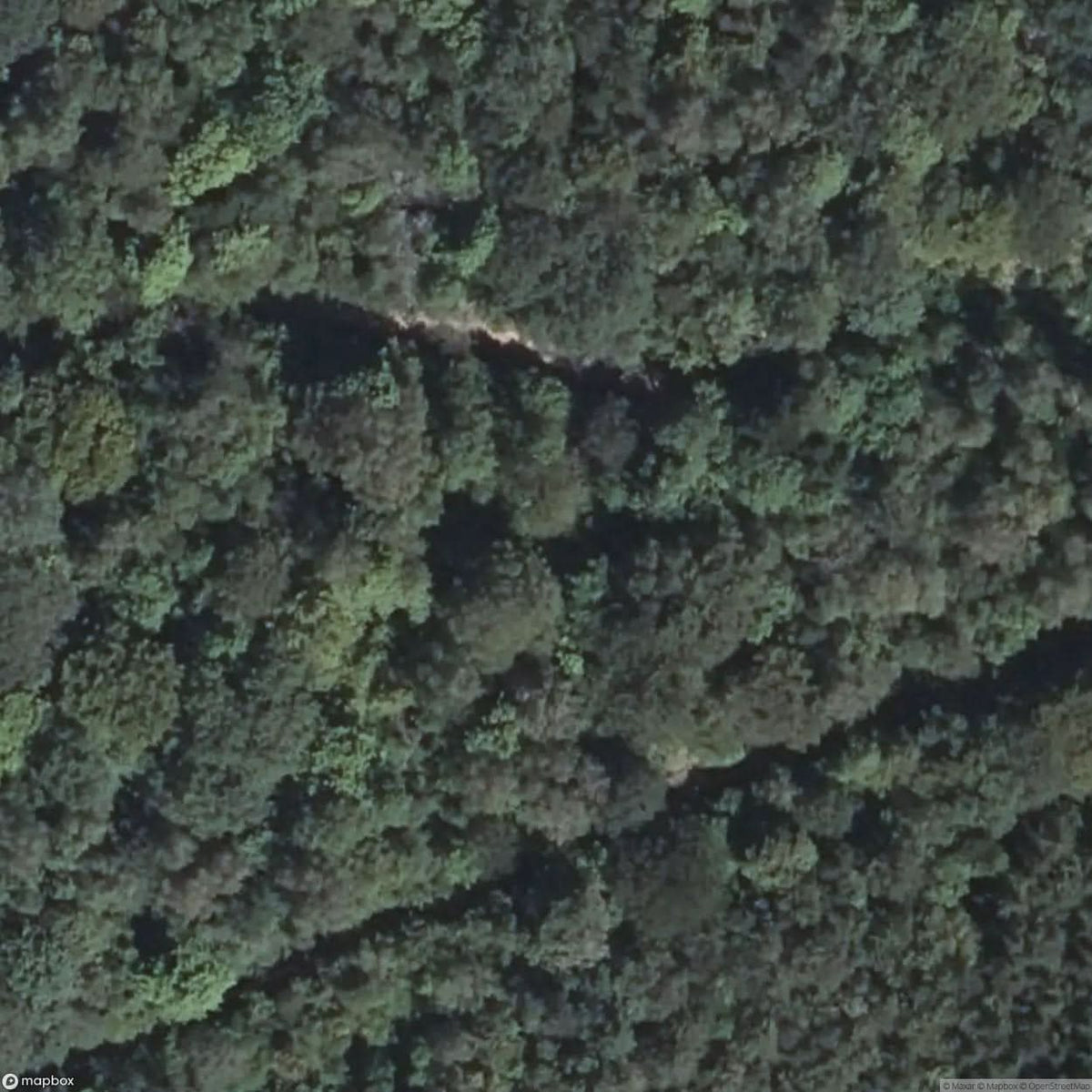 Hartmannswillerkopf Battlefield [FRA] #16290