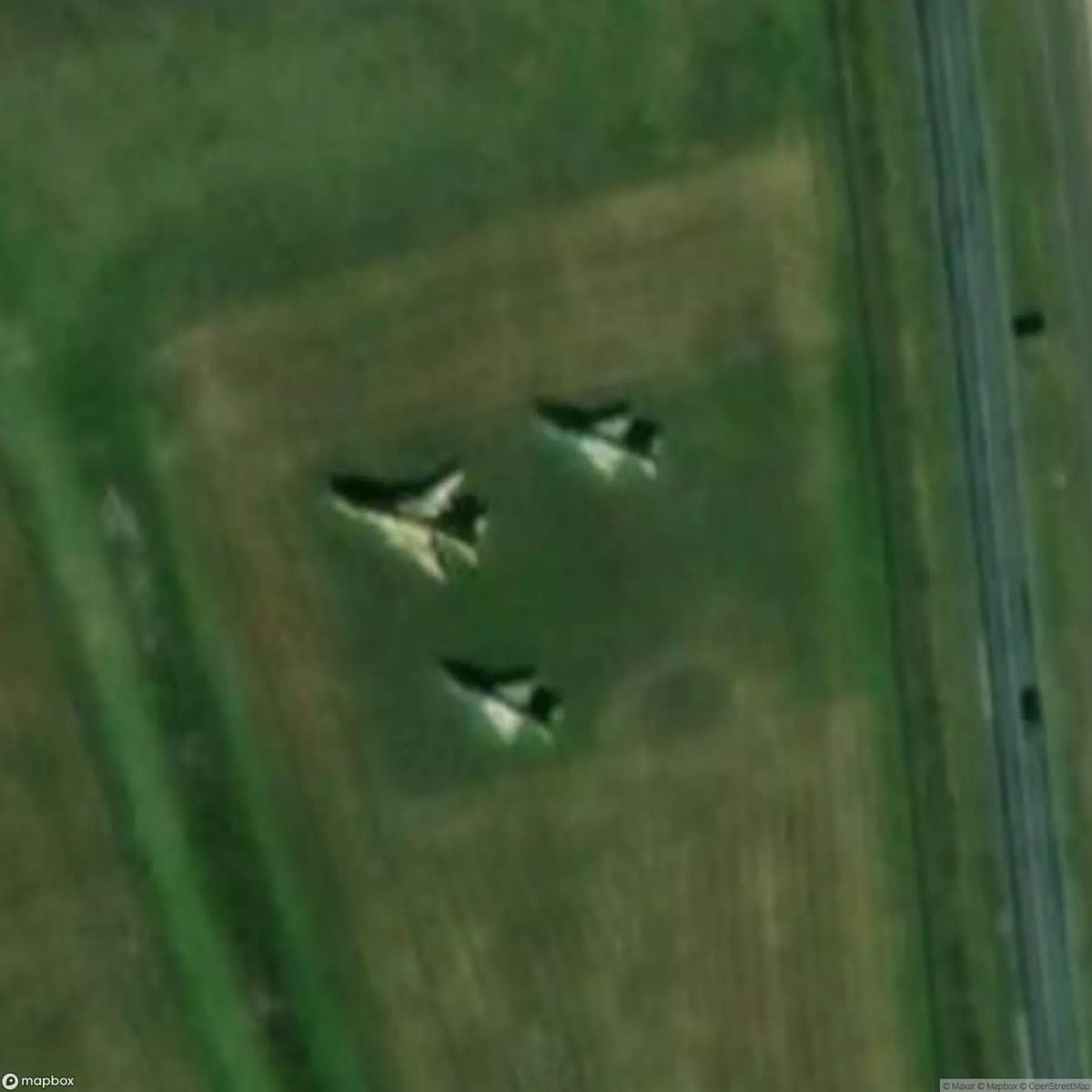 Jet Plane [GER] #16383