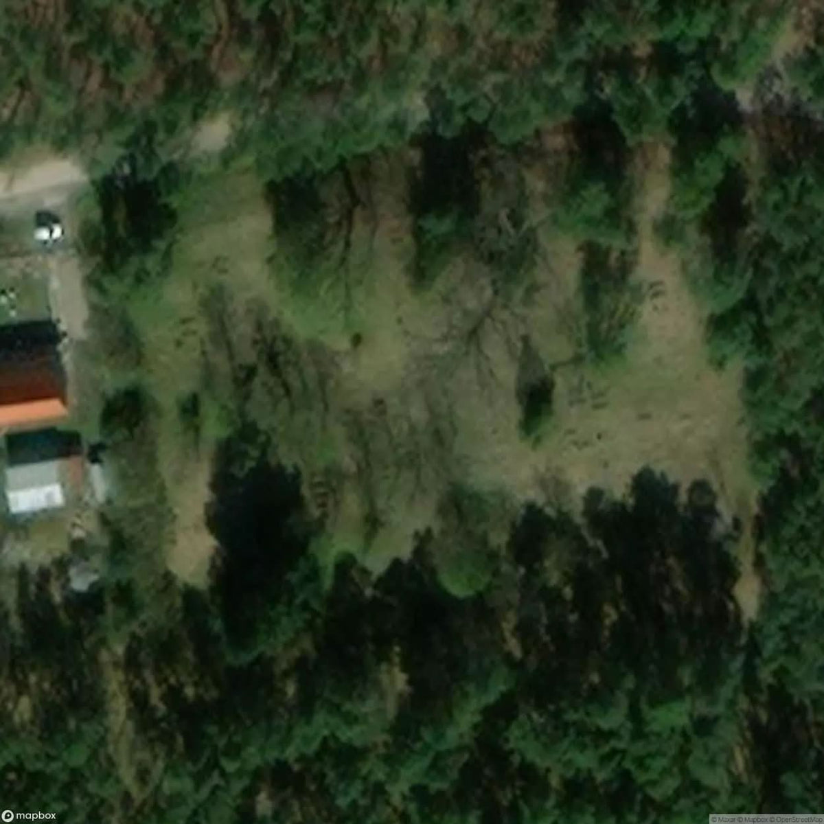 Historic Cemetery Mennonite Cemetery In Barcice [POL] #35866