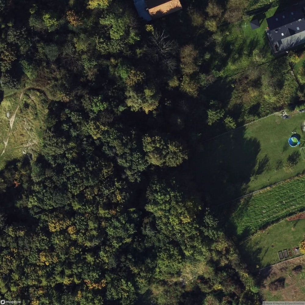Site Destroyed Cottage In The Forest [POL] #33836