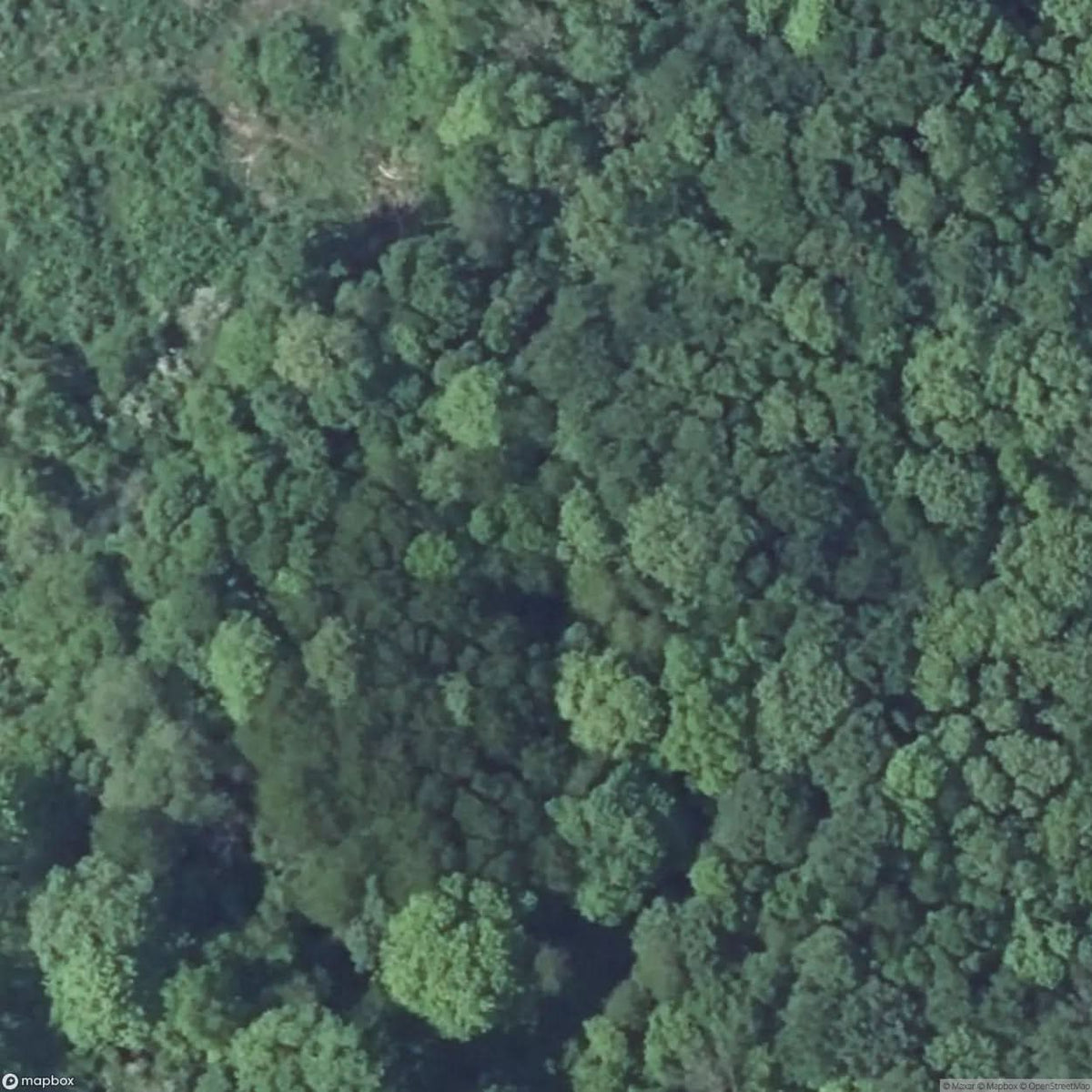 Infantry Bunker N S A Vrcha [FRA] #16941