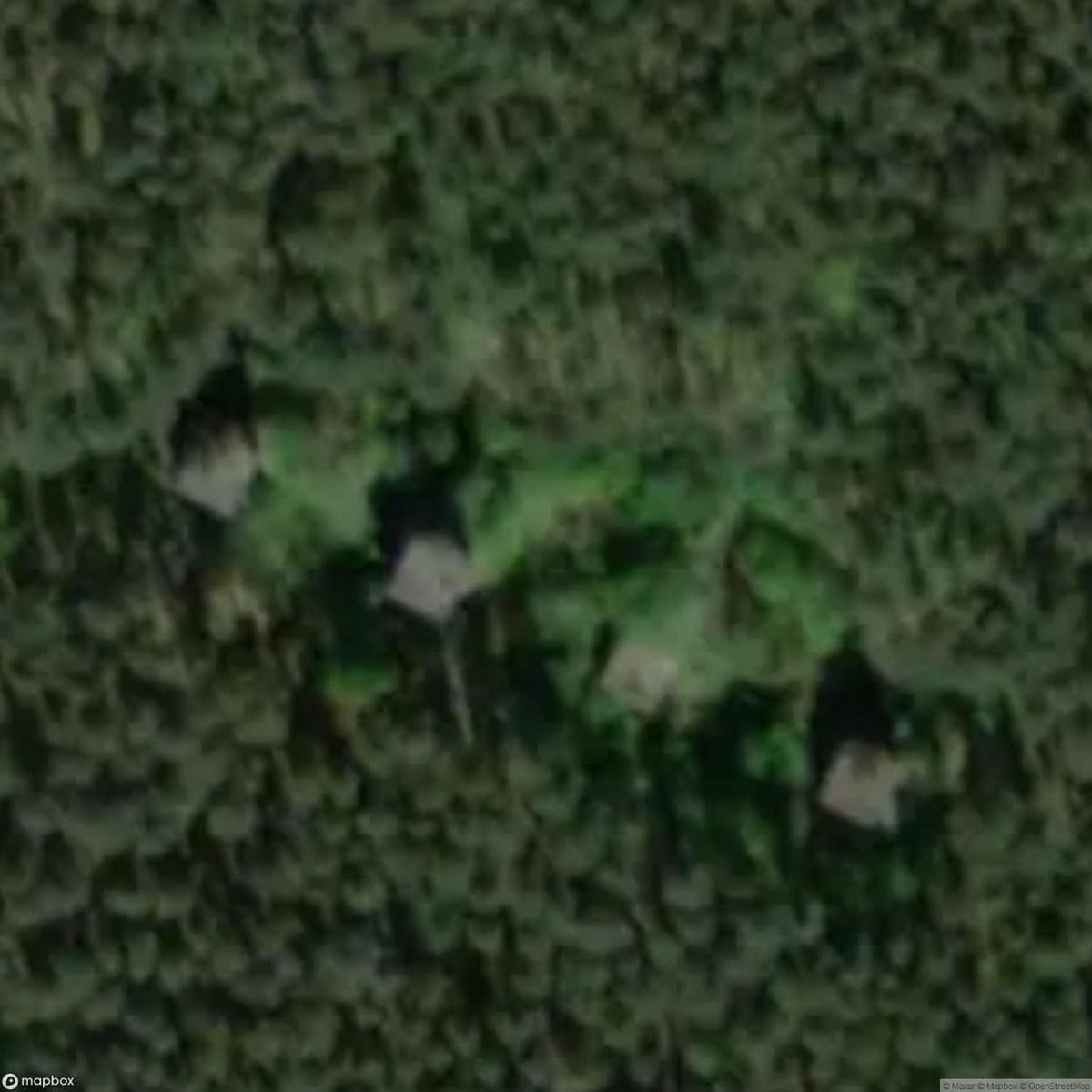 House In The Woods [GER] #00793