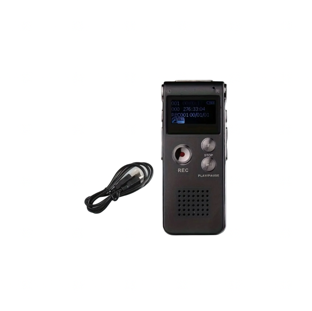 EVP Recording Device
